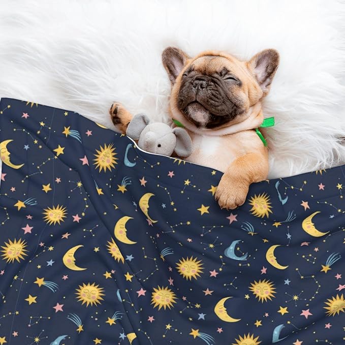 Double Sided Pet Throw for Dogs Who Shed, Colorful Stars, Reversible Blanket with Nubby Dot Side Catches Loose Fur for Easier Furniture Cleanup