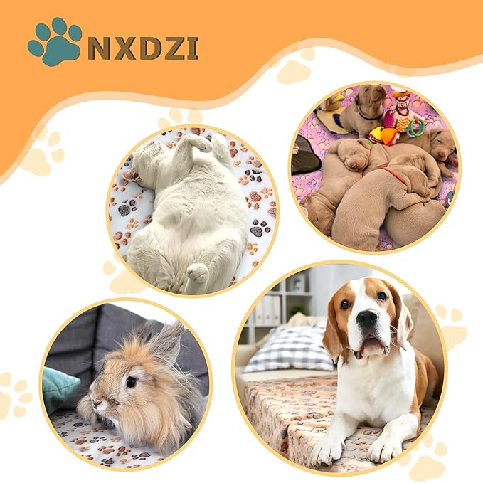 Dog Blankets for Small Medium Dogs Washable, 3 Pack Pet Blanket Washable 30" x 20", Fuzzy Soft Puppy Throw Cover for Kennel Crate Bed