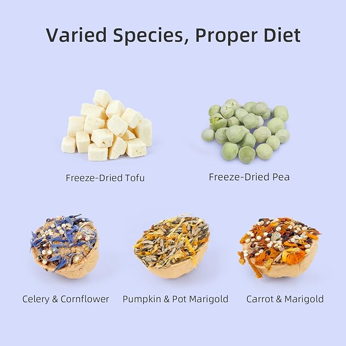 Niteangel Hamster Snack & Treats Toy - Small Animal Natural Treat Mix for Dwarf Syrian Robo Hamsters Gerbils Mice Lemmings Degus or Other Small-Sized Pets (Walnut-Shell Boat)