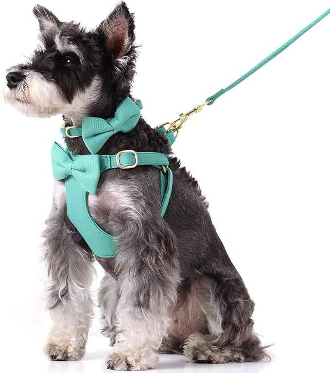 Beirui Adorable Small Dog Harness Collar Leash Set,Cute Puppy Harness with 3 Bows for XS Dogs,Yorkie,Adjustable Step-in Vest for Walking,Parties&Holiday Outfits(Teal,XS)