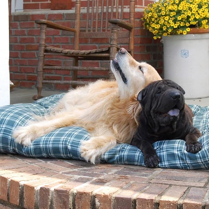 Carolina Pet Green Plaid Shebang Rectangle Indoor/Outdoor Bed S