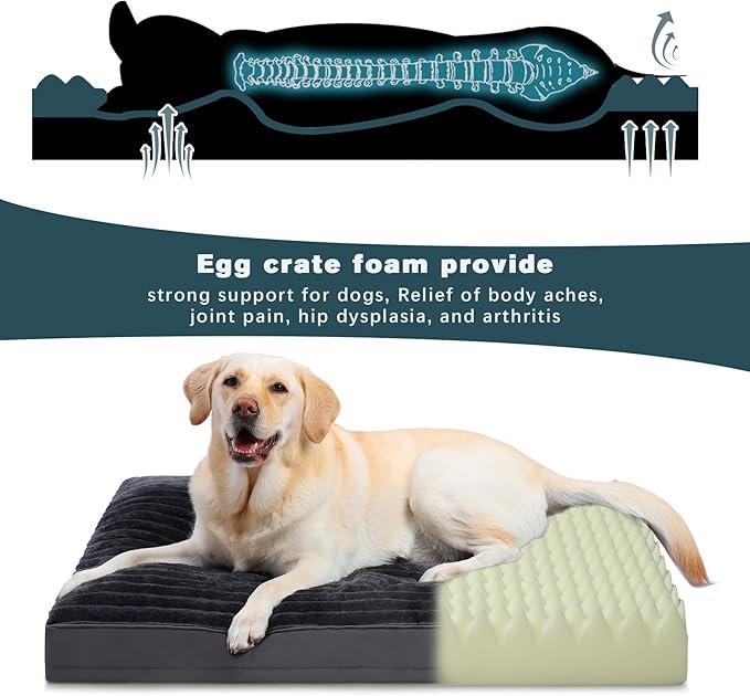 Vonabem Jumbo Dog Bed Washable with Removable Cover Waterproof, Dog Crate Beds for XXXL XXL XL Large Jumbo Dogs, Anti-Slip Pet Beds Kennel Pad 54 inch