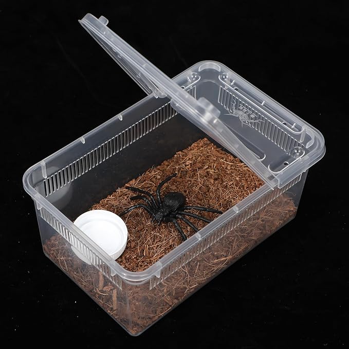 Irenare 8 Pcs Reptile Breeding Box Plastic Spider Terrarium Tarantula Feeding Box for Bearded Dragon Lizard Spider Gecko Scorpion(Vent Strips,Clear,5.9 x 3.9 x 2.5 Inch)