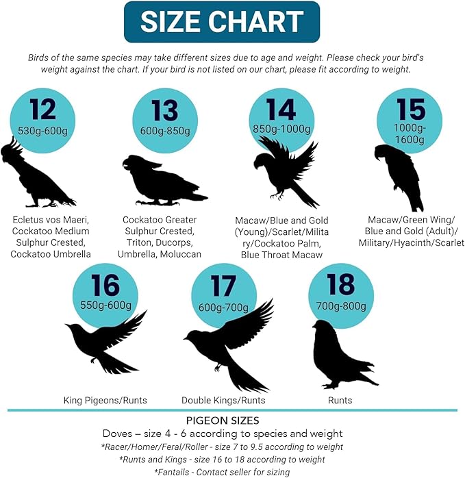 Bev's Bird Boutique Regular Flyper Adjustable Bird Diaper | Reusable, Washable Cloth | Comfort Fit for Parrot, Cockatiels, & Other Small Birds | Fashionable Avian Accessories, Retro Tux, Size 13