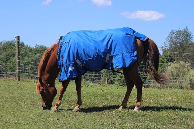 Derby Originals Nordic Tough 1200D Ripstop Waterproof Reflective Winter Horse Turnout Blanket 300g Heavy Weight, Chocolate Brown, 81"