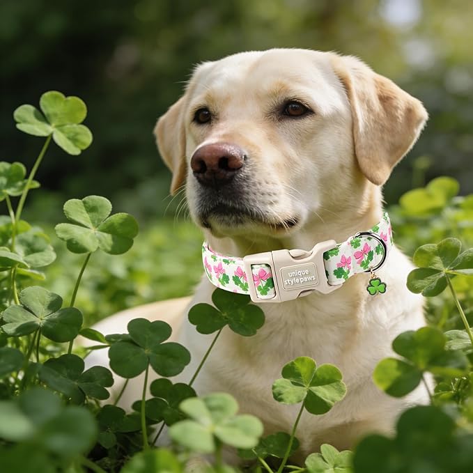 Unique style paws Dog Collar Plastic Buckle with Pendant Puppy Collar for Saint Patrick Bow Clover for Small Medium Large Boys Girls Dogs