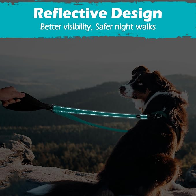 PetBonus Two Point Control Dog Leash, Works with No Pull Harnesses, No Tangle Training Leashes, Soft Padded and Reflective Walking Lead, Converts to Single Lead for Medium Large Dogs (Turquoise)