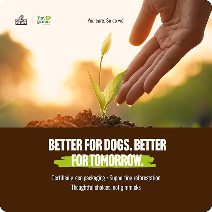 Natural Farm Odor-Free Braided Bully Sticks (6 Inch, 5 Pack) - 100% Grass-Fed Beef, Grain-Free, Low Fat & Fully Digestible Best Dental Treats - Safest Long Lasting Pizzle Chews to Keep Your Dog Busy