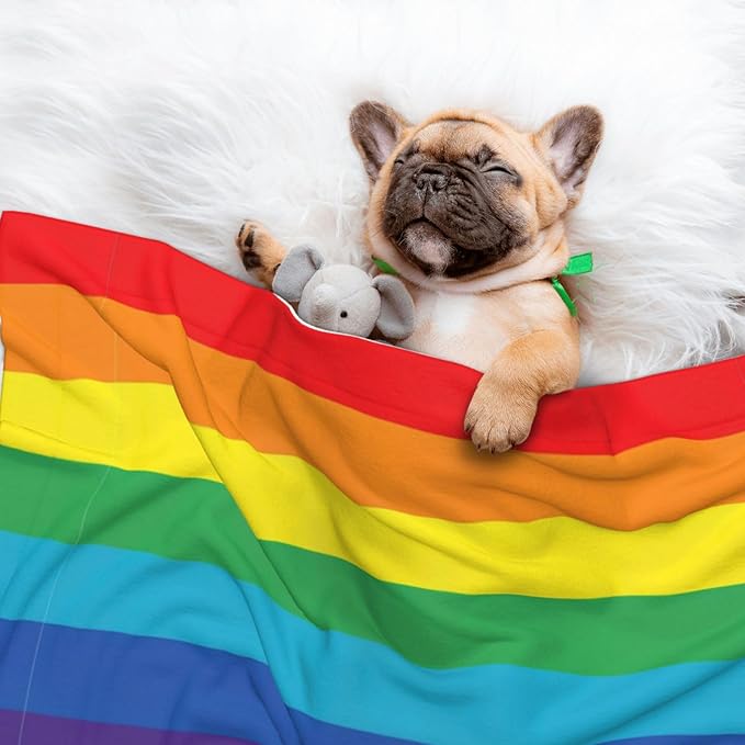 Double Sided Pet Bed Blanket for Added Cushion Warmth, LGBT Pride Rainbow Flag, Reversible Cover with Textured Dot Surface for Existing Beds Standalone Mat