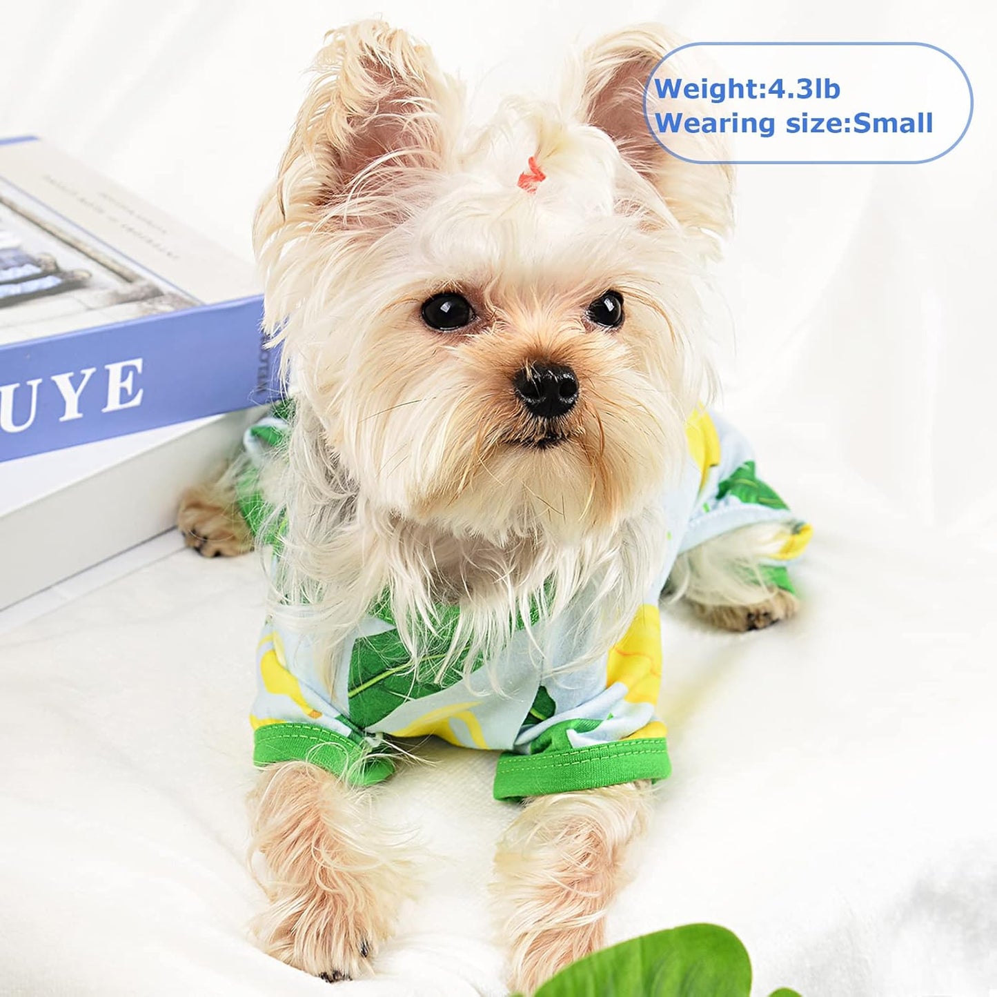 PinkBow Dog Pajamas, Banana Graphics, X-Small, 1.5-3.3lb, Polycotton, for Small Dogs & Cats