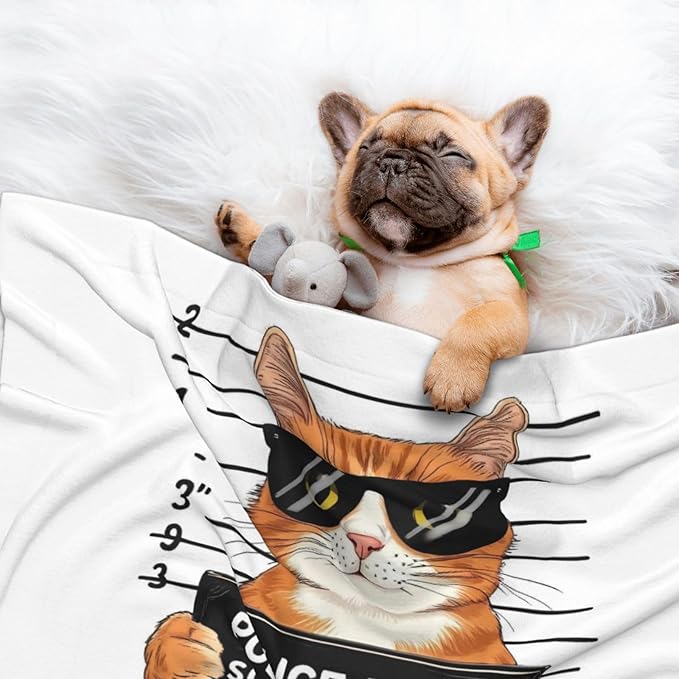 Cat Holding Mugshot Sign Print Soft Plush Pet Blanket, Washable Dog Blanket, Cat Fleece Throw, Puppy Bed Crate Mat & Sofa Couch Protector - Small