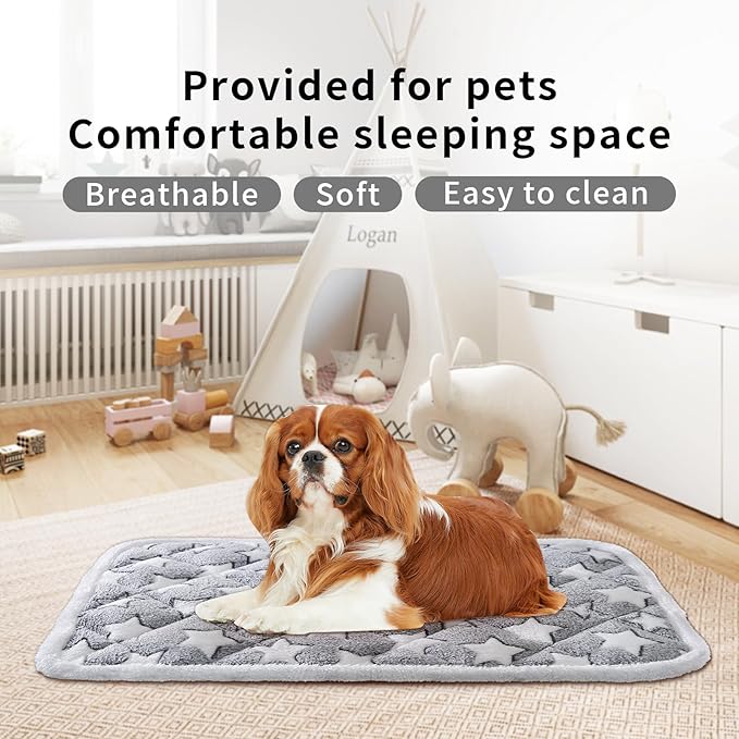 Soft Reversible Dog Crate Mat 2Pcs, Cat Mat - 24x16 Inch, Short Plush Pet Mat, 0.6-inch Thick Thin Dog Mat, Dog Bed Mat for Small Dogs, Machine Washable Ideal for 24-Inch Dog Crates