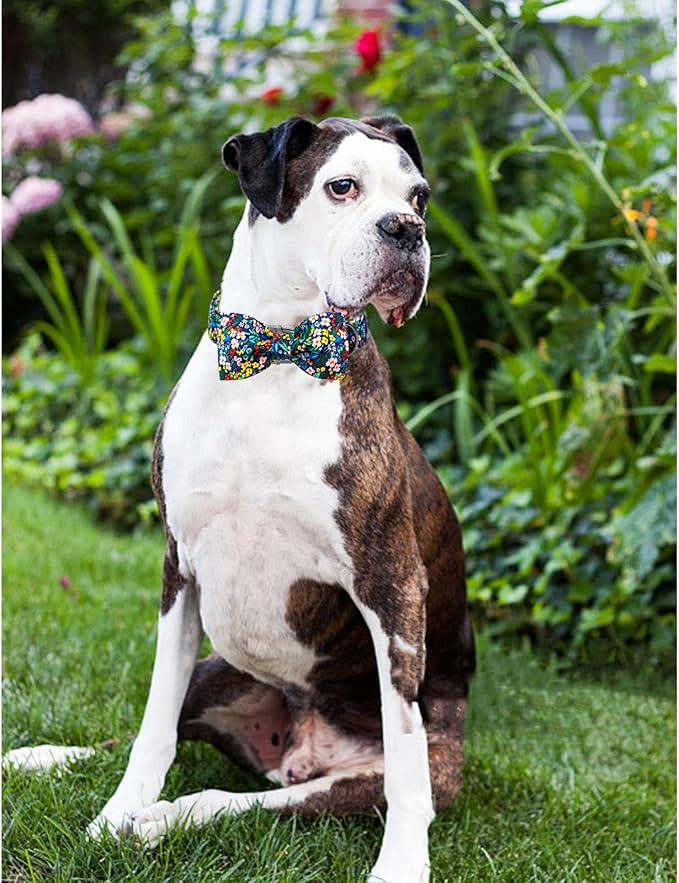 Lionheart glory Dog Collar Darkblue Flower Dog Bow Collars Floral Dog Collar with Bow Male or Female Spring Fall Pet Gift Durable Adjustable Dog Collar for Medium Dogs