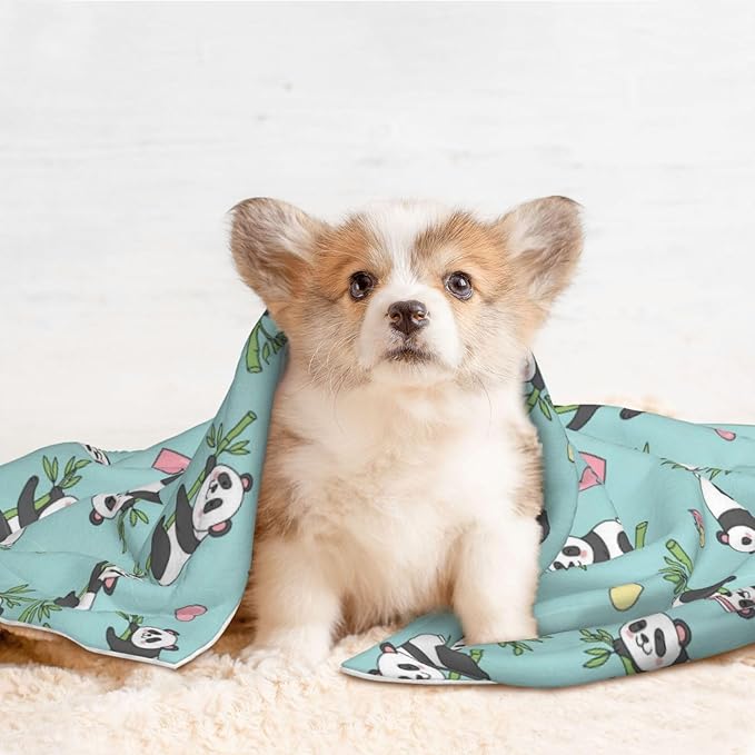 Reversible Plush Throw for Dogs and Cats, Chinese Cute Panda, Double Sided Blanket with Nubby Dot Side and Sleek Side Ideal for Cuddling Nesting Security