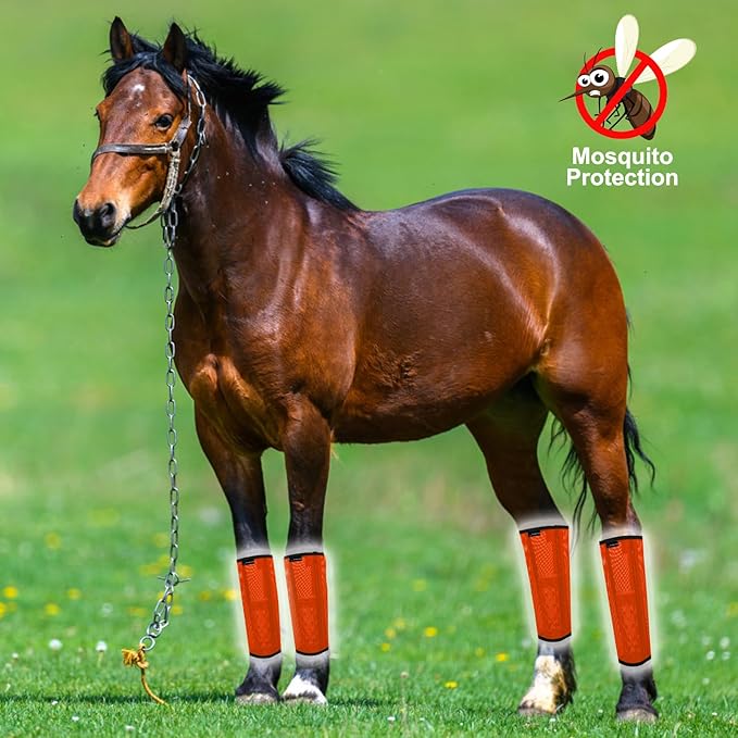 FOXLVDA Horse Fly Boots - Fly Boots for Horses Set of 4, Comfortable Horse Leggings, Mesh Material Design with Metal Support Bars for Reduces Stomping & Leg Fatigue (Orange, Medium)