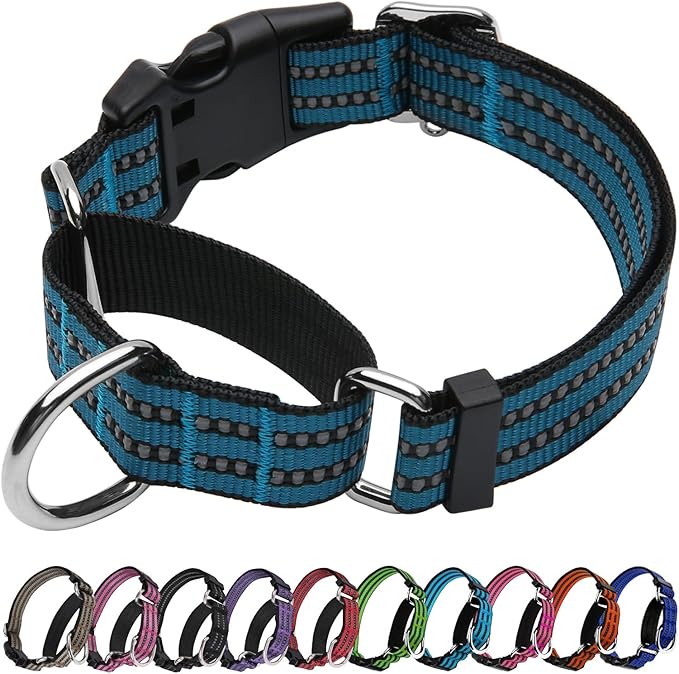 Martingale Dog Collar, Adjustable Nylon Reflective Collar with Quick Release Buckle (Gentian Blue, Medium)