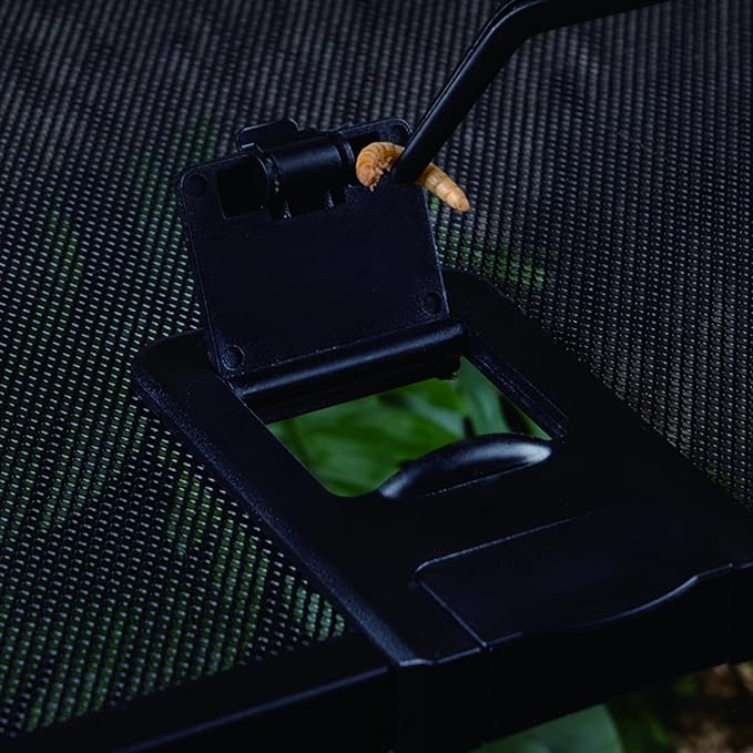 Reptile Terrarium Tank, Glass Reptile Vivarium, Sliding Mesh Cover, for Lizards, Horned Frogs, Snakes, Spiders, Turtle(S, 2.4Gal (12"x7.8"x6"))