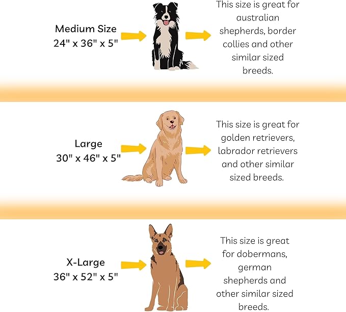 Elevated Dog Bed | Orthopedic Memory Foam | Large and Medium Dogs | Removable and Washable Cover | Waterproof Liner | Extra Large Gray