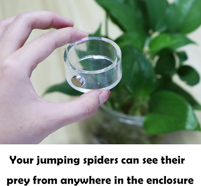 Jumping Spider Feeding Dish, Magnetic Tiny Food Dishes Water Dish for Jumping Spider, Tarantula and Other Small Pets,Transparent