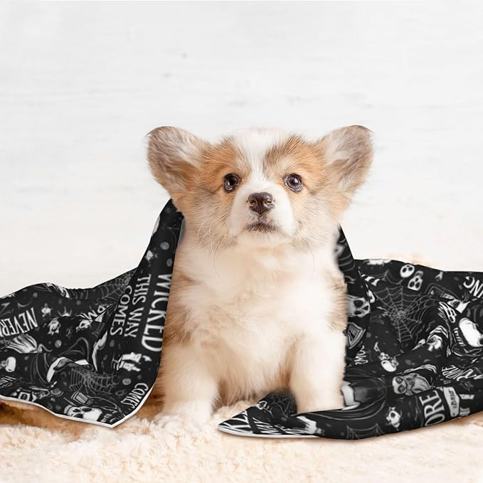 Double Sided Plush Pet Blanket with Cozy Dot Texture, Halloween Witchcraft Witch Pumpkin Spider Web Bat Raven Magic Board Spirit Skull Skeleton Vintage Black, Reversible for Dogs Cats on Couches Beds