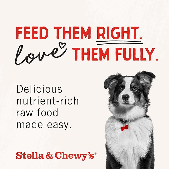 Stella & Chewy's Freeze-Dried Raw Tantalizing Turkey Meal Mixers- Dog Food Topper and Mixer - Made with 95% Cage-Free Turkey, Organs & Bone - Perfect for Picky Eaters - Grain-Free - 1 oz (Pack of 6)