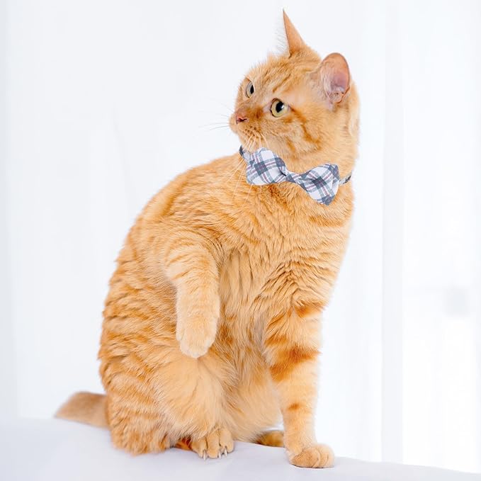 Breakaway Cat Collar with Removable Bow Tie and Bell, Cute Multi-Style Patterns, 3 Pack Safety Buckle Kitten Collars, Adjustable Pet Collar for Boy Cats Puppy (Gray)