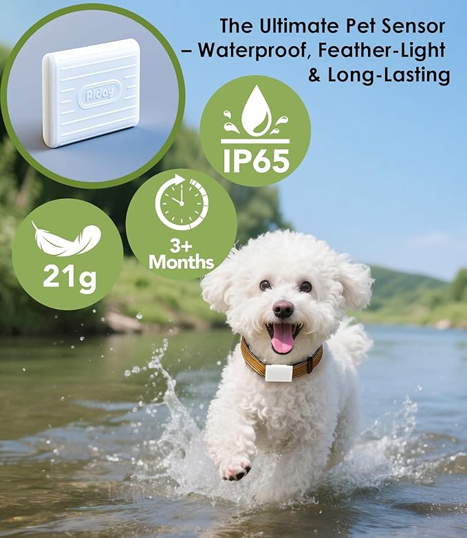 Automatic Dog Door for Door with Collar Sensor, Electronic Medium Dog Door with Anti-Pinch, Timing Function, Metal Frame&Panels, Mains-Powered