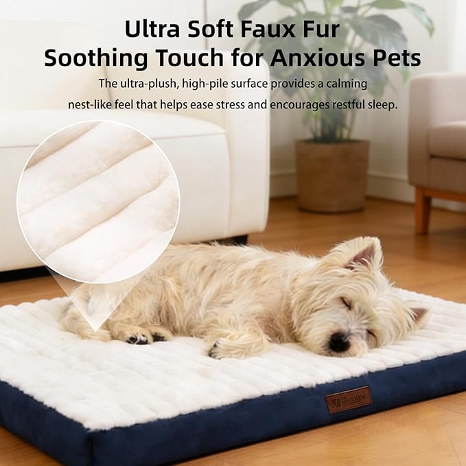 Orthopedic Dog Bed with Firm High-Density Egg Crate Foam,Soft Short Plush Surface Pet Beds,Machine Washable with Removable Cover & Non-Slip Bottom for Medium/Large Breeds (Blue, 35" L x 22" W x 3" H)