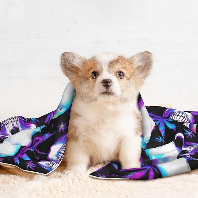 Two Sided Plush Pet Blanket for Warmth Comfort, Blue Weedleaf Trippy Skull Crossbones Black, Reversible Throw with Cozy Nubby Side for Chilly Nights Napping Spots Around House