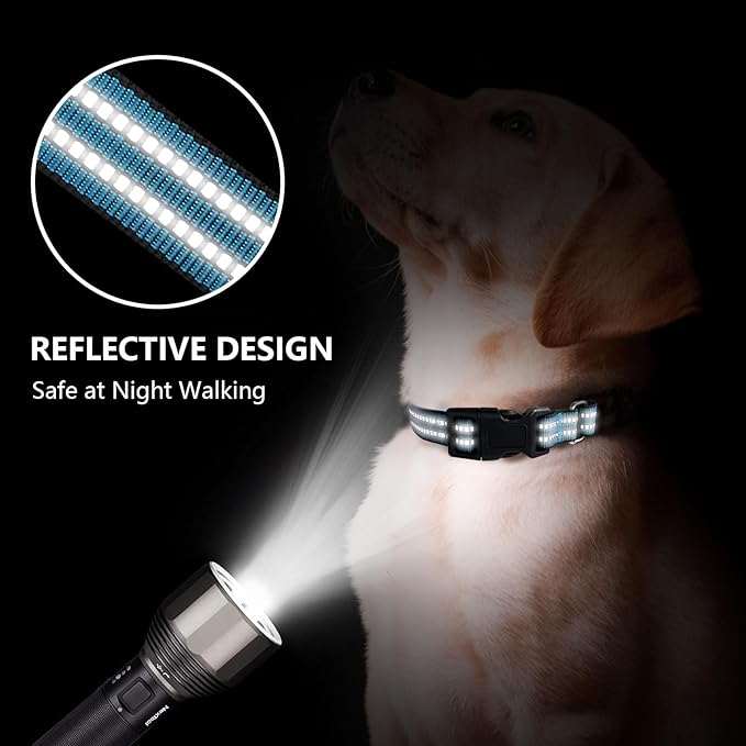 Martingale Dog Collar, Adjustable Nylon Reflective Collar with Quick Release Buckle (Gentian Blue, Large)