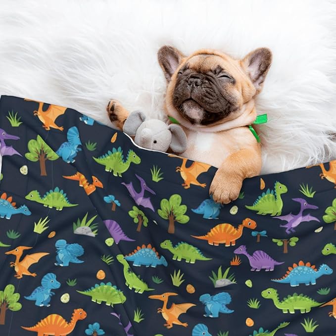 Dog and Cat Blanket in One, Cute Colorful Cartoon Dinosaurs, Double Sided Plush Throw with Raised Dot Pattern on One Side and Flat Velvet on Other for Variety