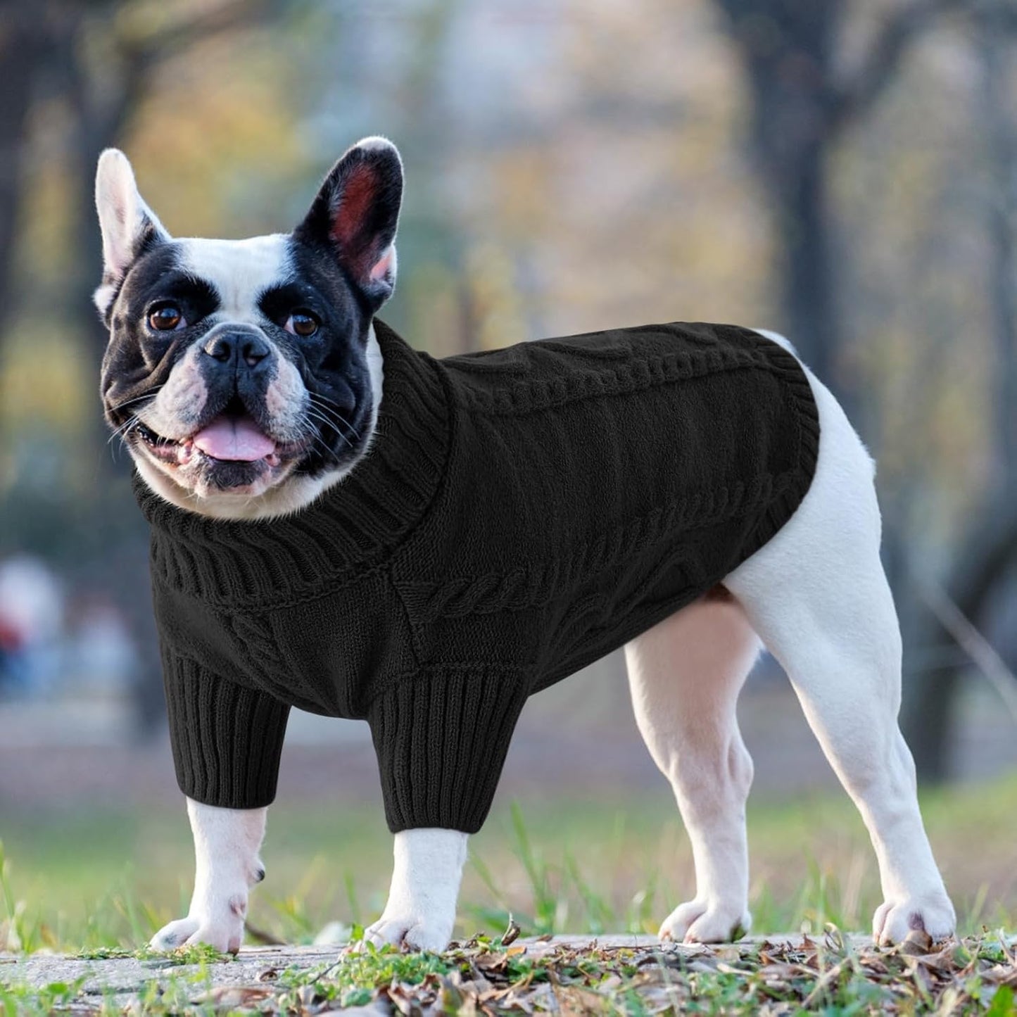 Queenmore Small Dog Pullover Sweater, Cold Weather Cable Knitwear, Classic Turtleneck Thick Warm Clothes for Chihuahua, Bulldog, Dachshund, Pug (Black, Large)