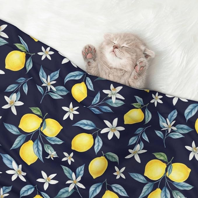 Reversible Dog Blanket for Beds Couches, Citrus Fruit Flower Lemon Green, Double Sided Cat Blanket with Textured Dot Feel and Smooth Feel for Seasonal Comfort All Year