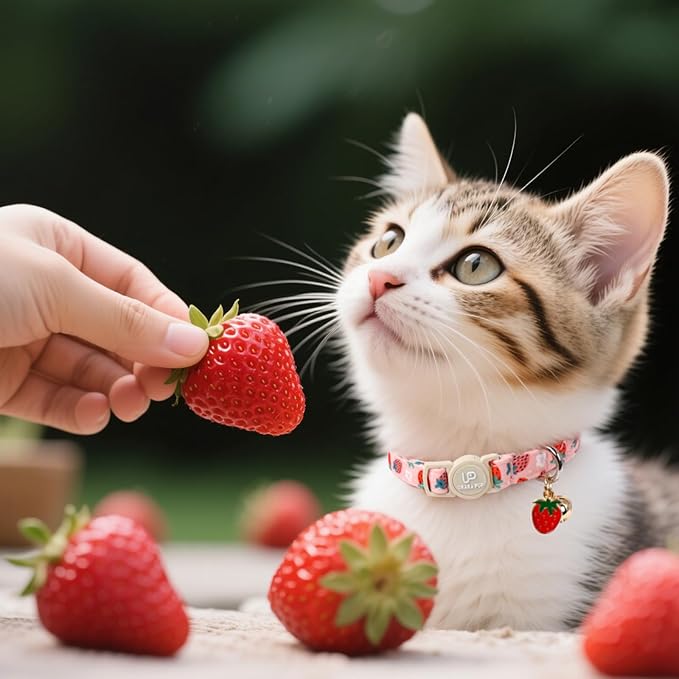 Cat Collar, 2Pack Summer Kitten Collars-Cute Lime and Strawberry Pendants-Breakaway Kitty Collars,Cat Collar with Bell, for Girl & Boy Cats