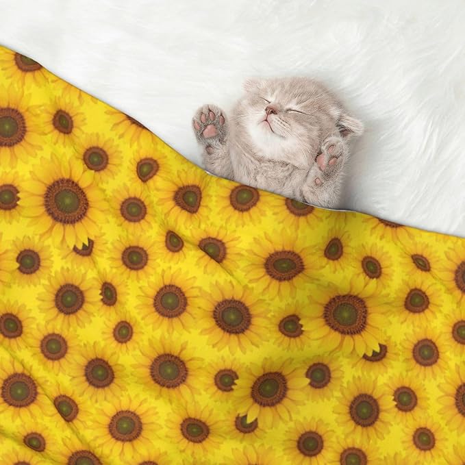Dog and Cat Blanket in One, Beautiful Sunrise Sunflower Art, Double Sided Plush Throw with Raised Dot Pattern on One Side and Flat Velvet on Other for Variety