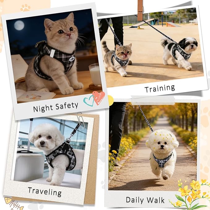 Gyuzh Small Dog Harness and Leash Set, 3-in-1 Step in No Pull Harness Vest Collar for Small Dogs & Cats, Lightweight Breathable Mesh Reflective Plaid with Padded Handle (Black, L)