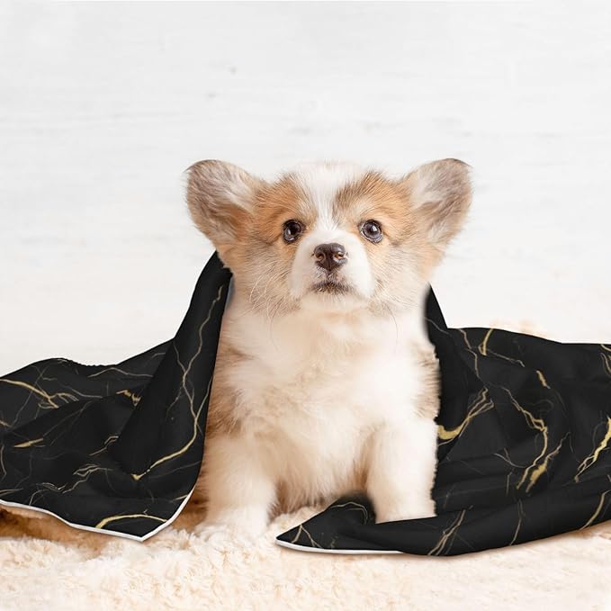 Dog and Cat Blanket in One, Chic Black and Gold Marble Texture, Double Sided Plush Throw with Raised Dot Pattern on One Side and Flat Velvet on Other for Variety