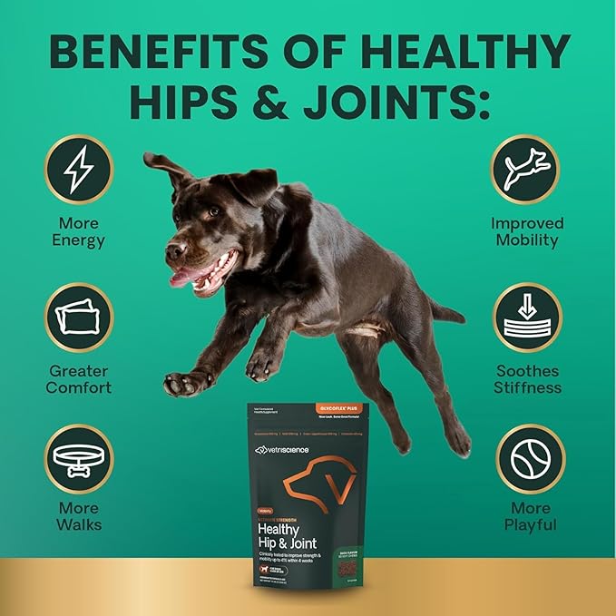 VetriScience GlycoFlex Ultimate Strength Healthy Chews– Dog Hip and Joint Supplement with Glucosamine, MSM for Dogs & Green Lipped Mussel for Dogs, Peanut Butter, 60Count - New Look