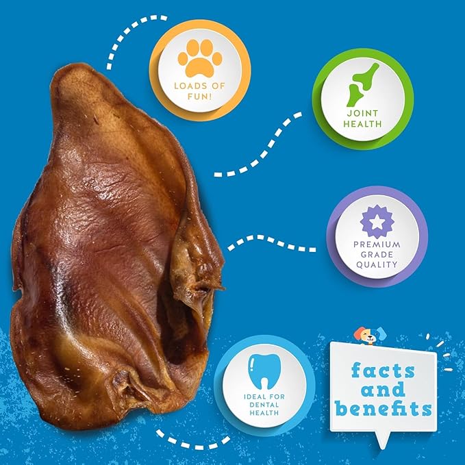 Jack & Pup Pig Ears for Dogs (25 Pack) – All Natural Whole Pig Ear Dog Chews, Single Ingredient, Extra Thick & Large, Long Lasting Treats for Small, Medium & Large Dogs – Rawhide Alternative