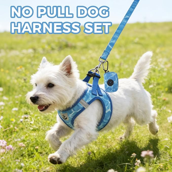 PAWCHIE Dog Harness and Leash Set, Step in No Pull Soft Pet Harness, Reflective Adjustable Puppy Vest for Small Medium Dogs Cats, No Choke Harness Vest with Poop Bag Holder for Walking,Running,Blue M