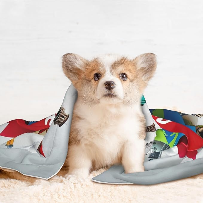 Waterproof Dog Blanket Soft Pet Blanket for Puppy Cat, Fleece Cat Throw Blankets for Furniture Bed Couch Sofa Reversible - Travel Around The World