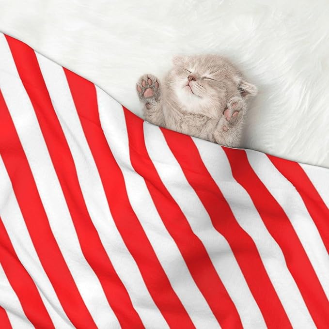 Two Sided Pet Cuddler Blanket for Anxiety Calming, Red White Stripes Christmas Candy Cane, Reversible Plush Design with Bubble Dot Pattern Provides Familiar Surface Anywhere