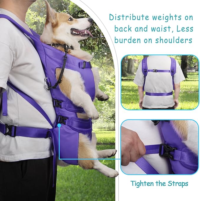 PetBonus Pet Front Dog Carrier Backpacks, Adjustable Pet Backpack, Legs Out Easy-fit Puppy Chest Carrier for Medium Small Dogs, Hands Free for Hiking, Cycling (Purple, XL)
