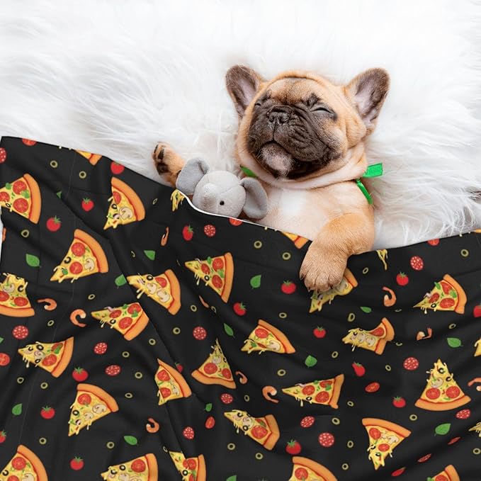 Two Sided Pet Cuddler Blanket for Anxiety Calming, Cartoon Pizza Slices, Reversible Plush Design with Bubble Dot Pattern Provides Familiar Surface Anywhere