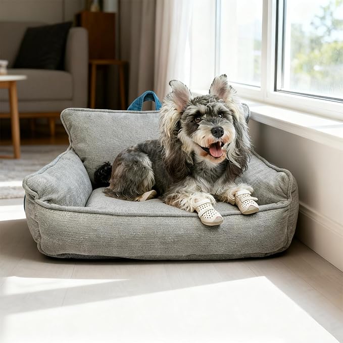 Washable Dog Bed,Memory Foam Dog Bed,Medium Size Dog Bed with Cover,Waterproof,M(23.5"x15.5"x13.5")