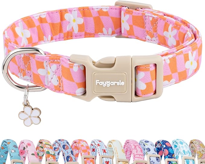 Faygarsle Floral Dog Collar, Pink and Orange Pattern with White Flowers, Spring Summer Design for Small Medium Large Dogs M