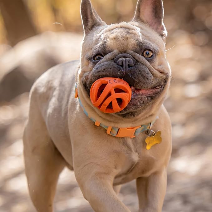 Chuckit! Air Fetch Ball Dog Toy, Small (2 Inch Diameter), for dogs 0-20 lbs, Pack of 2