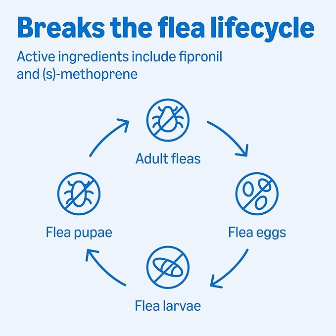 Amazon Basics Preventative Flea and Tick Topical Treatment for Dogs, Medium Dog (23-44 lbs), Fast Acting and Long Lasting, 6 Counts, Packaging May Vary