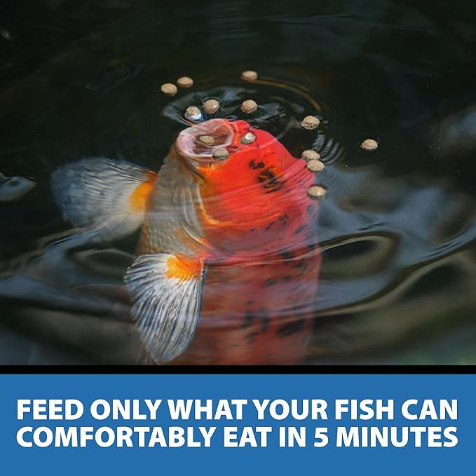 CrystalClear Staple Pond Fish Food for Healthy Koi & Goldfish, Protein Packed Floating Pellets for Summer Nutrition, Easy Digestion, 8.8 Pound Bucket