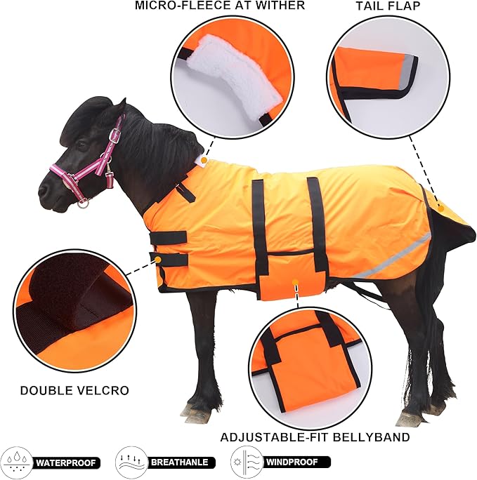 Foal/Mini Horse Size 30"-48" Waterproof & Breathable 300 Denier Winter Turnout Blanket with 150g Polyfill Orange Large